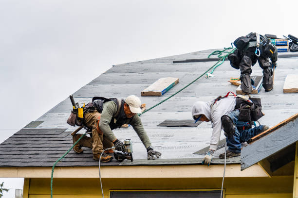 Professional Gutter Installation technician working in Camilla, GA